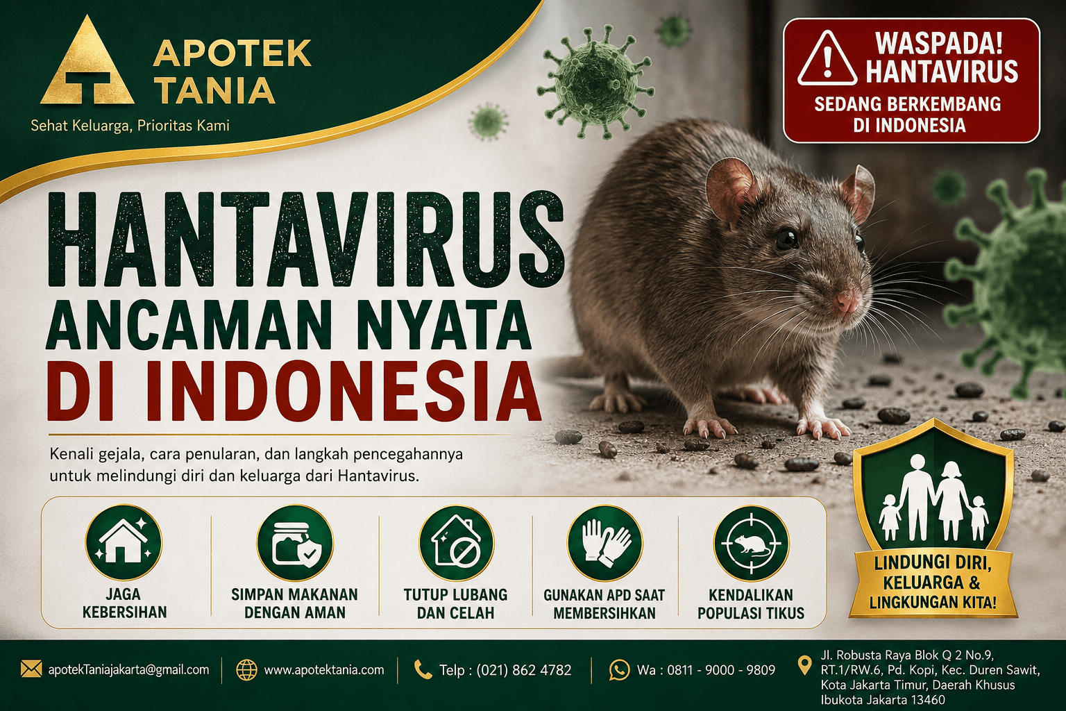 Hantavirus Ancaman Nyata di Indonesia Kenali Gejala, Cara Penularandan Pencegahannya